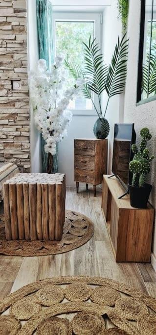 #New#Terrasse Sud Ouest#Pied De La Cite #1 Apartman Carcassone Kültér fotó