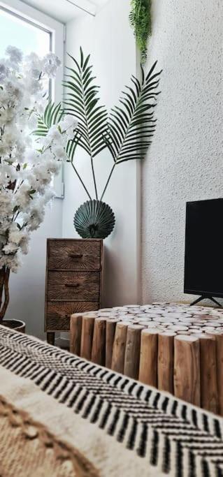 #New#Terrasse Sud Ouest#Pied De La Cite #1 Apartman Carcassone Kültér fotó