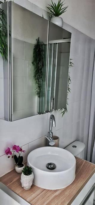 #New#Terrasse Sud Ouest#Pied De La Cite #1 Apartman Carcassone Kültér fotó