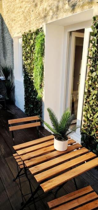 #New#Terrasse Sud Ouest#Pied De La Cite #1 Apartman Carcassone Kültér fotó